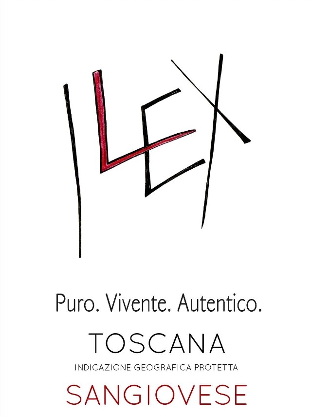 Ilex 