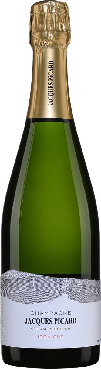 Iconique │ Brut 