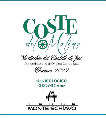  Coste del Molino │ Verdicchio 