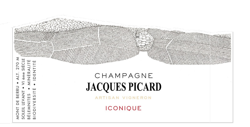 Iconique │ Brut 