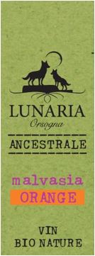  Malvasia Orange 
