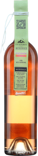 <i class="fa fa-envira" aria-hidden="true"></i> Malvasia Orange <i class="fa fa-leaf" aria-hidden="true"></i>